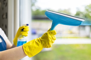 Window cleaning in action